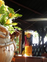 /album/caravancamp-sk/b-6-jpg/