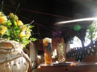 /album/caravancamp-sk/b-8-jpg/